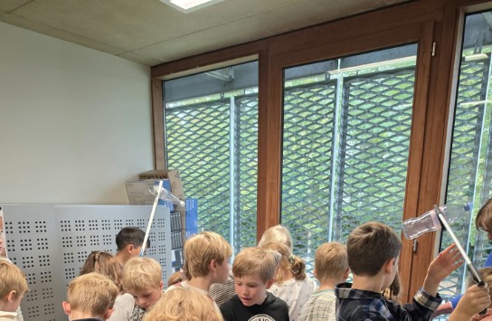 (vergroot foto)