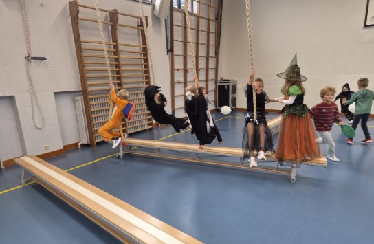  (vergroot foto)