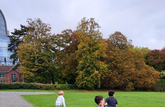 (vergroot foto)