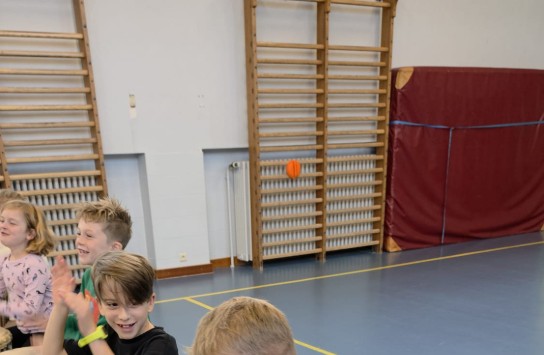  (vergroot foto)