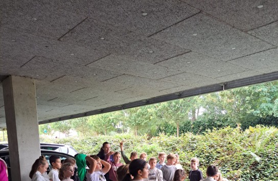 (vergroot foto)