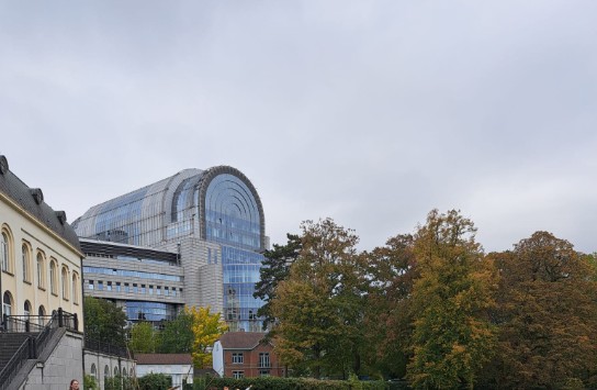 (vergroot foto)